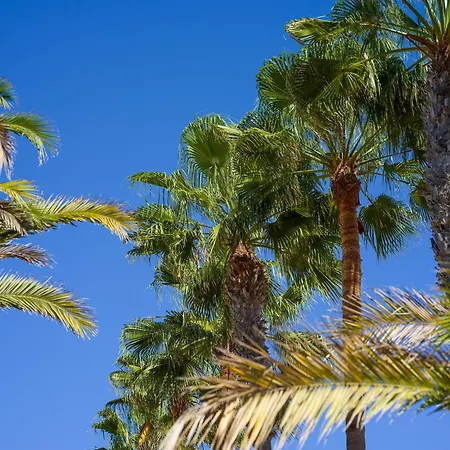 Casa Tindaya - 3 Min Walk To The Σπίτι διακοπών *